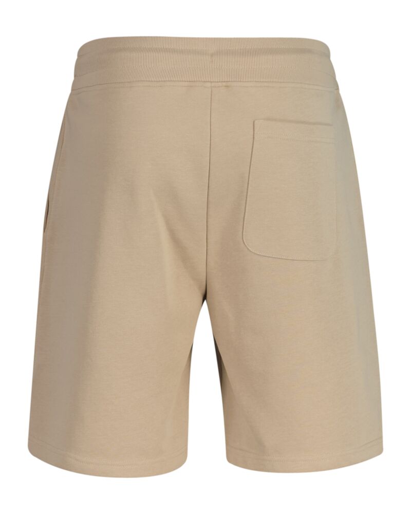 REG SHIELD SWEAT SHORTS Brown / S