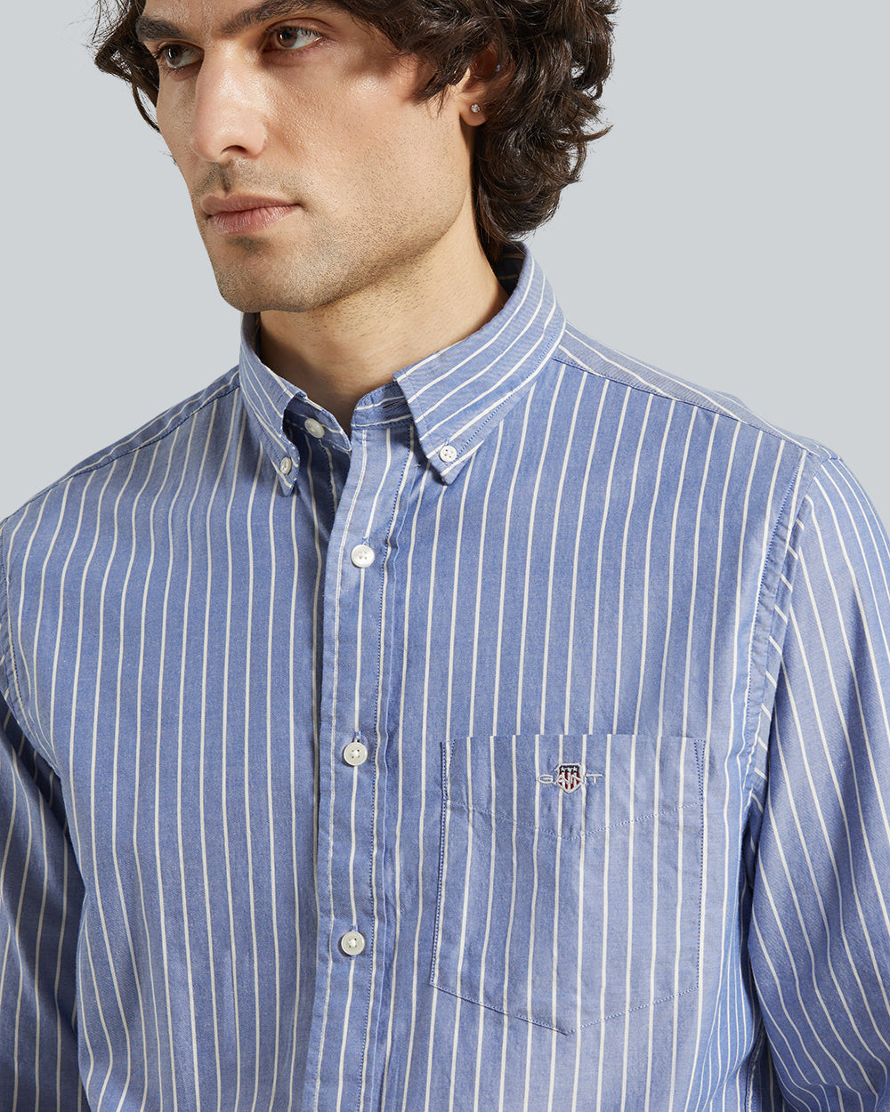 Reg Brushed Twill Stripe Shirt Blue / L