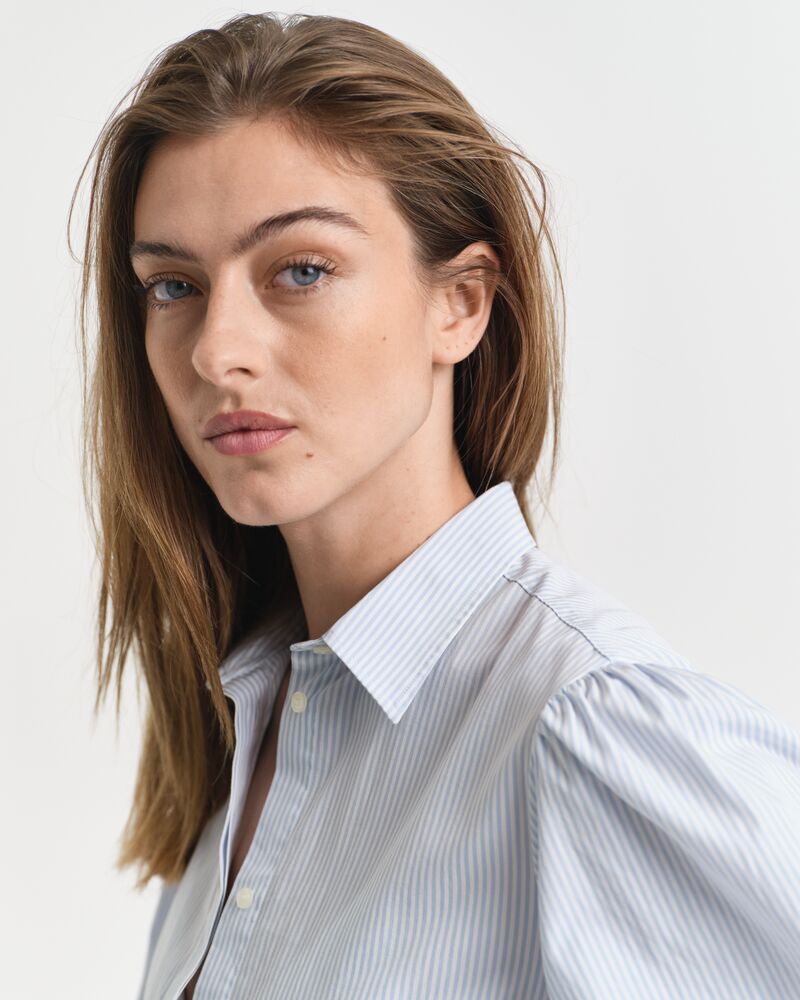 Striped Classic Poplin Dress Blue / 32