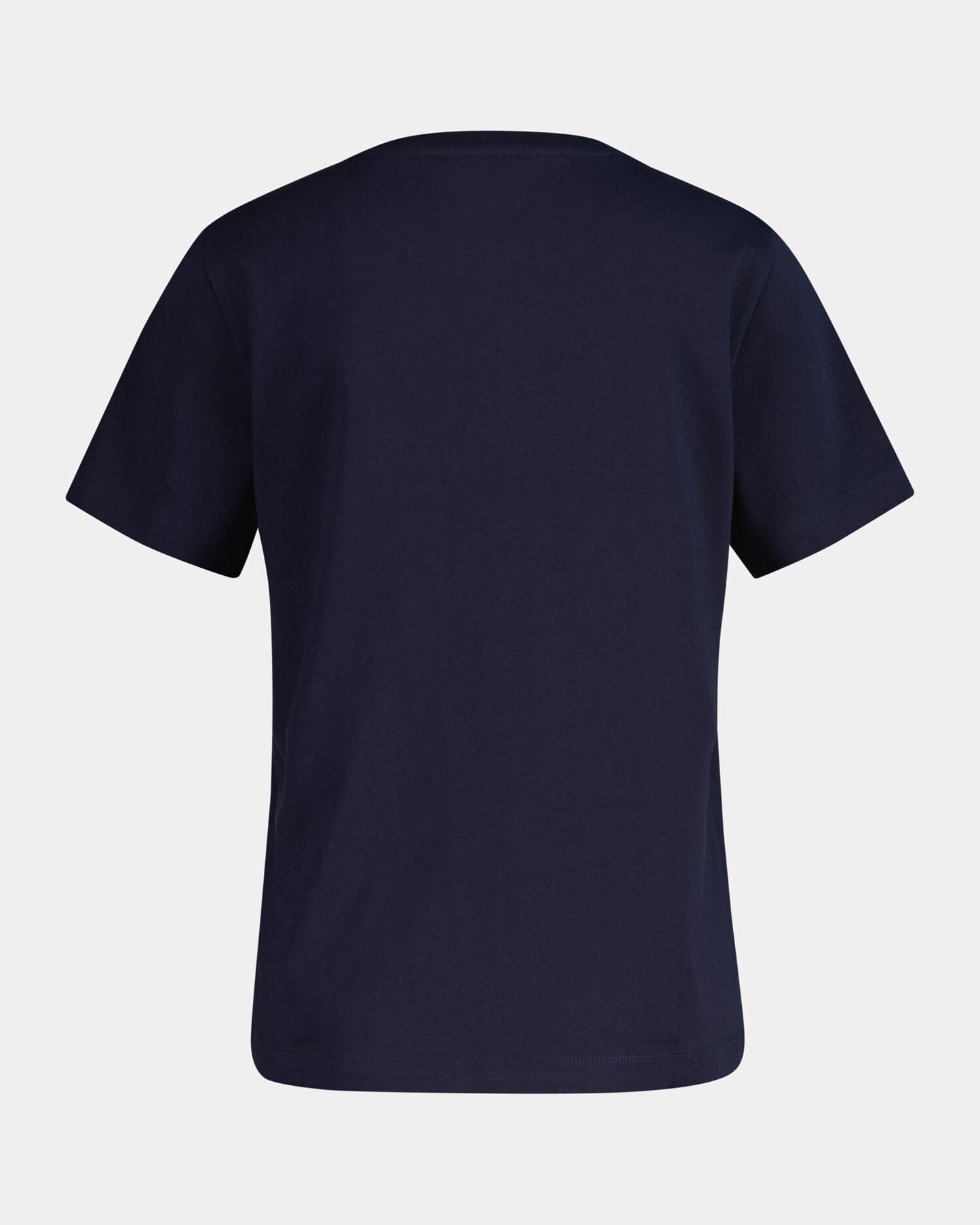 Regular Tonal Graphic Ss T-Shirt