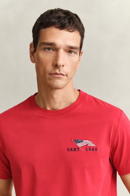 Graphic SS Tshirt
