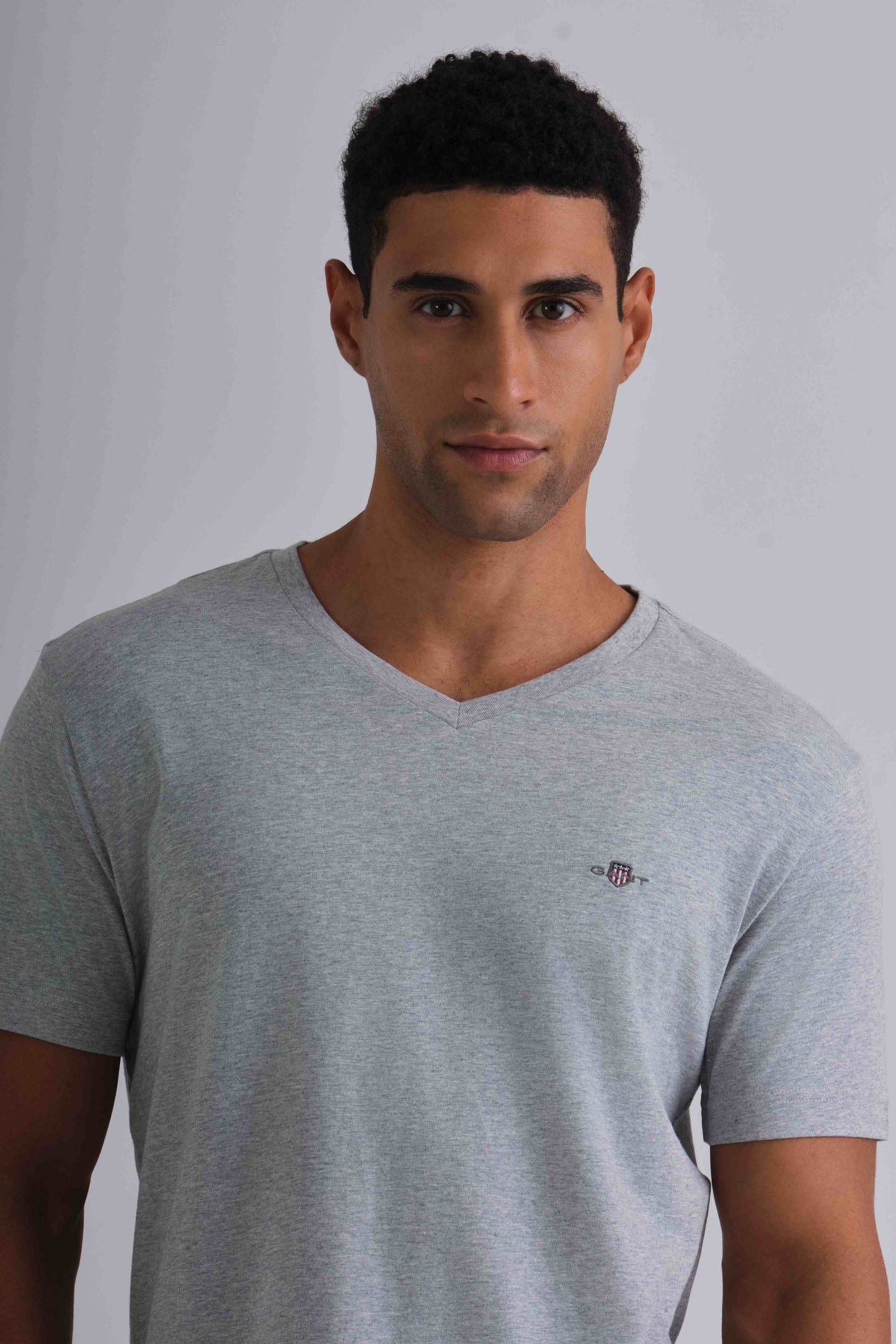 Slim Fit Shield V-Neck T-Shirt Grey Melange / M