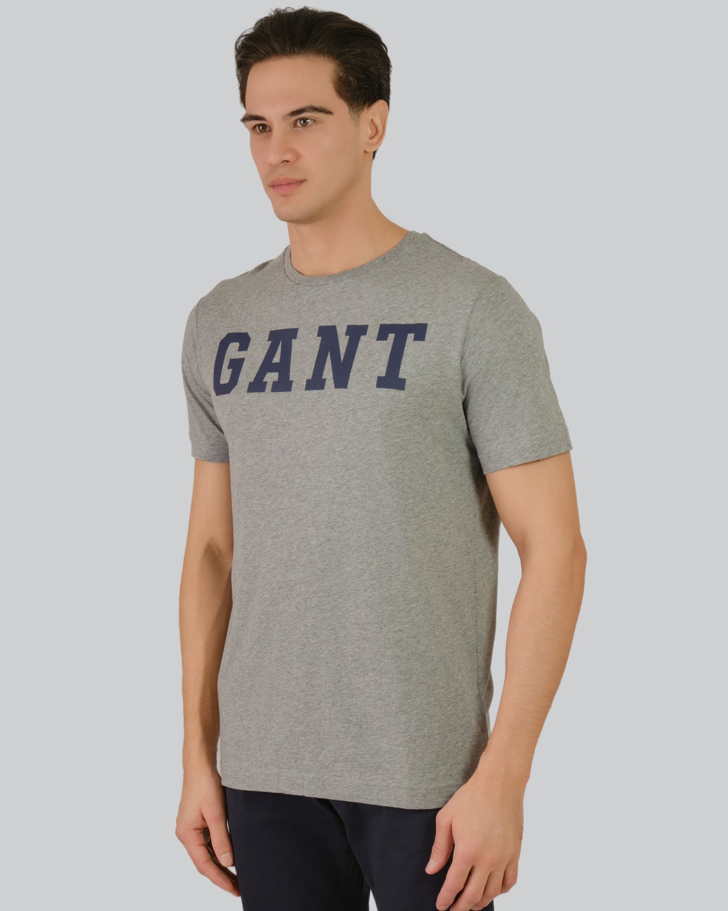 Gant Logo T-Shirt Grey Melange / M