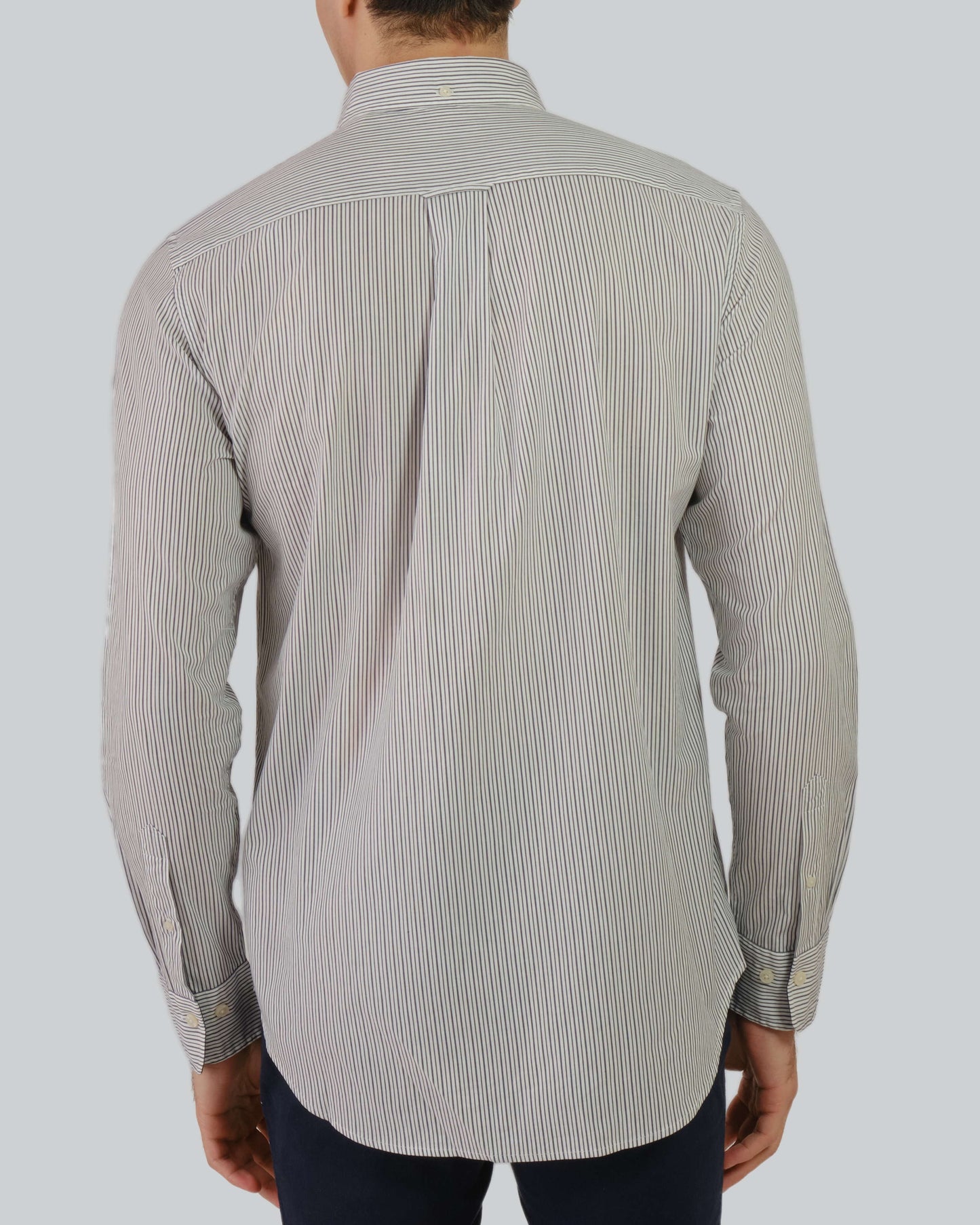 Regular Fit Poplin Stripe Shirt Eggshell / M