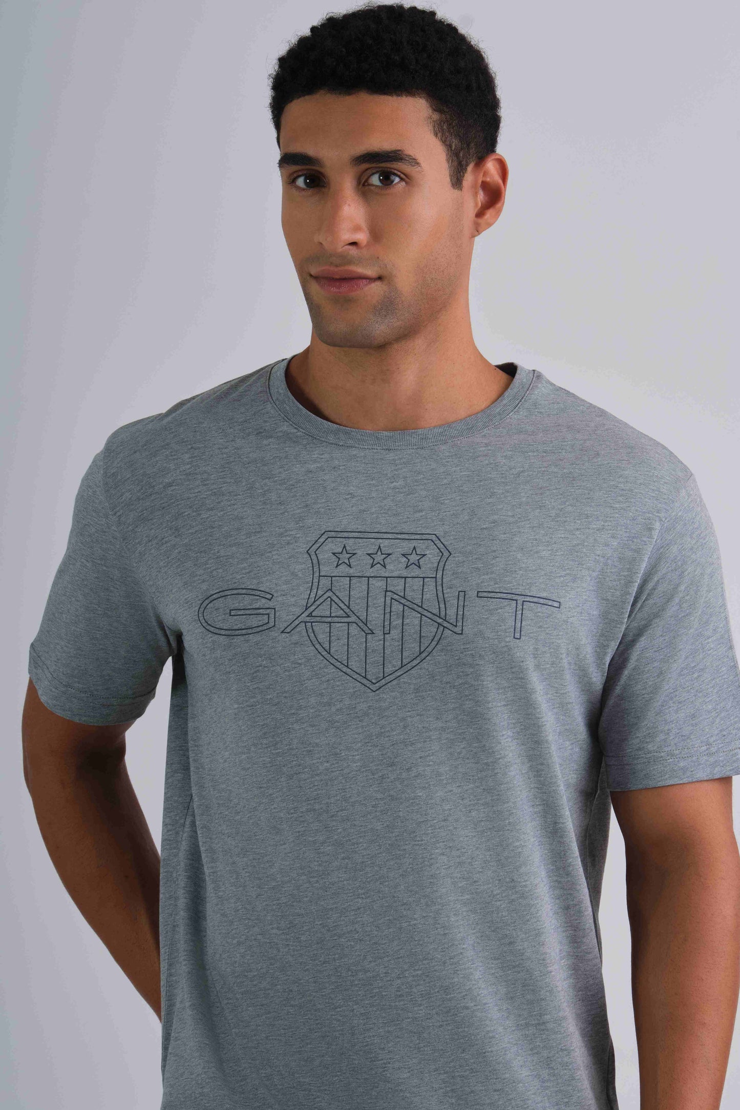 Logo T-Shirt Grey Melange / M