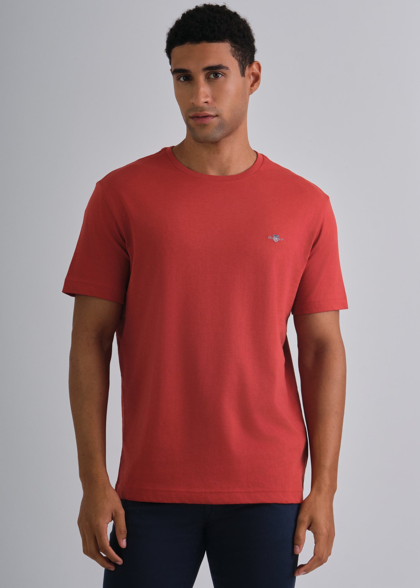 Regular Fit Shield T-Shirt Iron Red / M