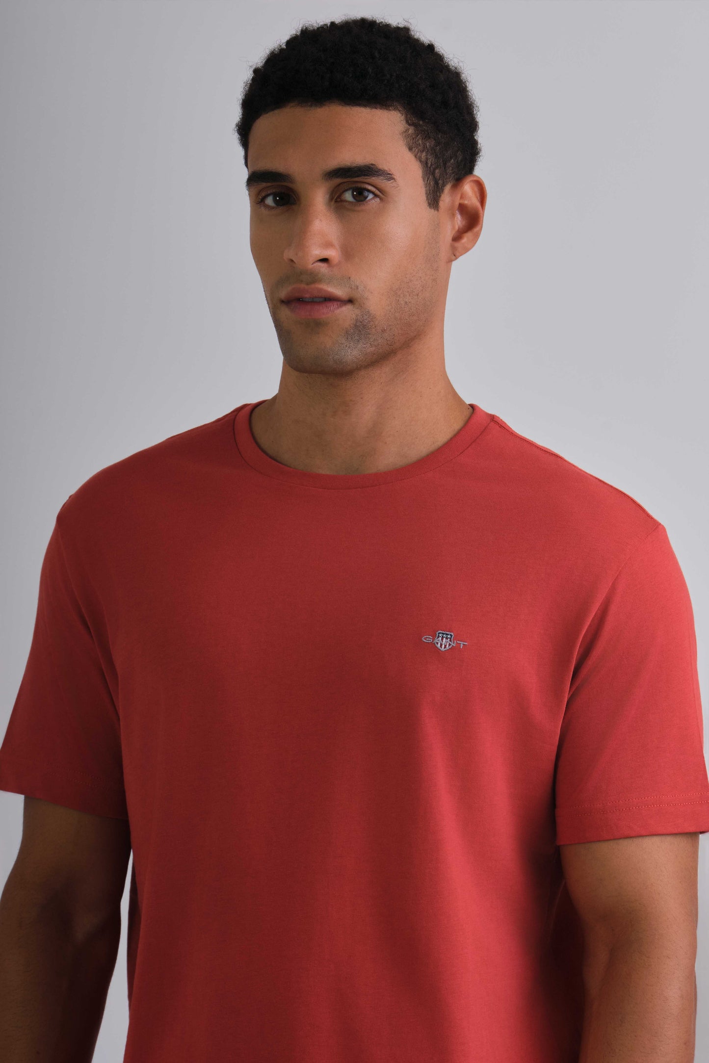 Regular Fit Shield T-Shirt Iron Red / M