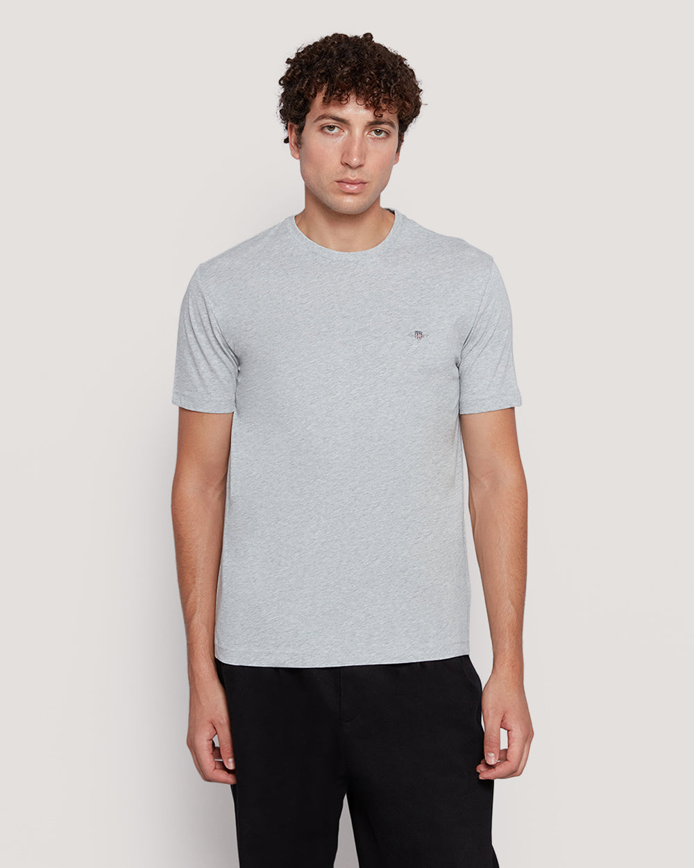 Shield Logo Ss T-Shirt Grey / M