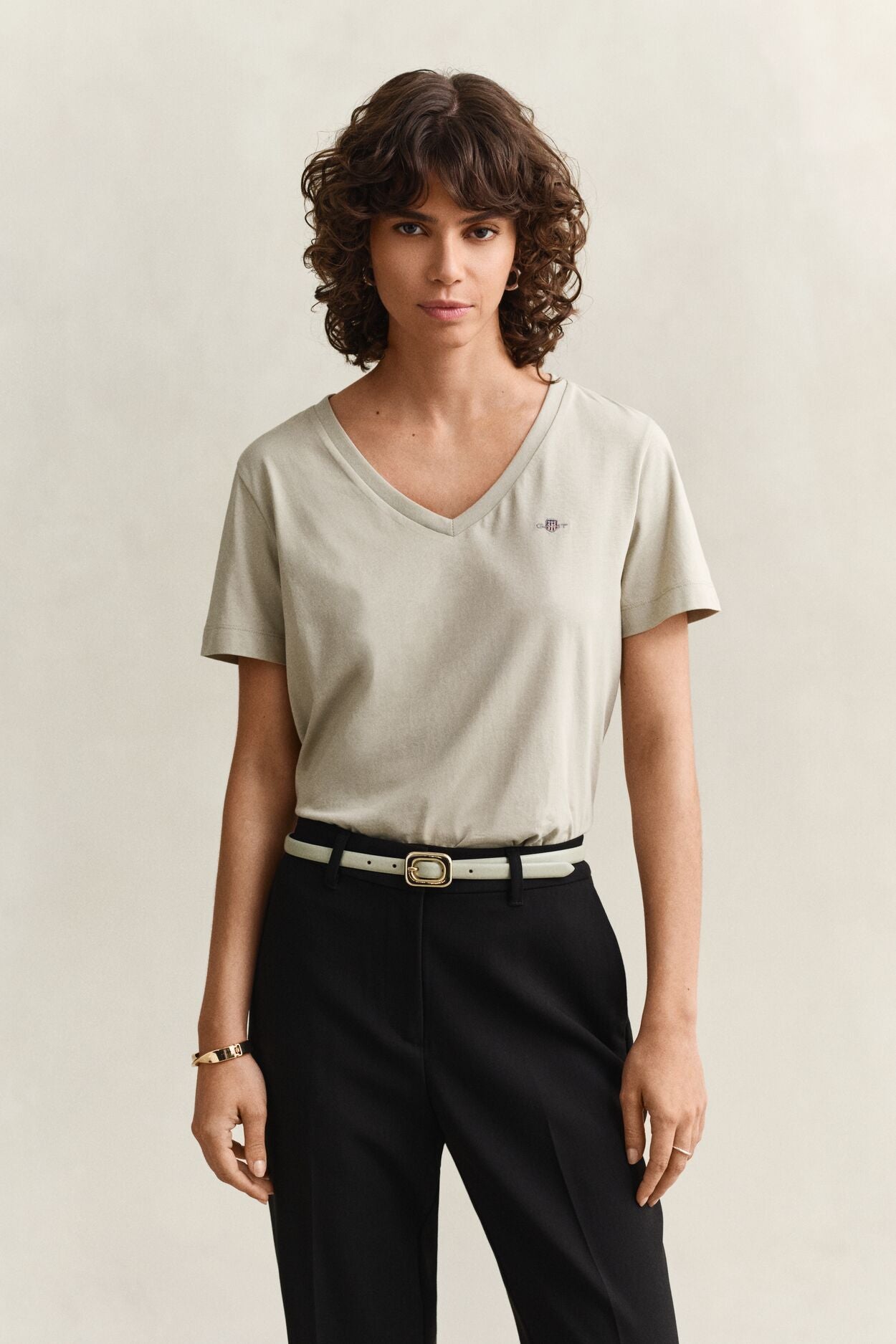 Regular Shield Short Sleeve V-Neck T-Shirt