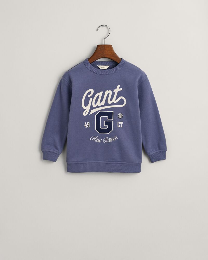 Kids Graphic Crew Neck Sweatshirt Washed Blue / 92