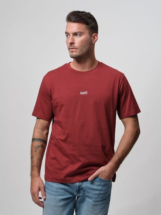 Gant Small Graphic Short Sleeve T-Shirt