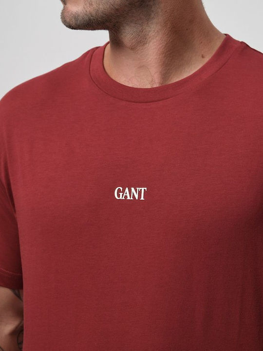 Gant Small Graphic Short Sleeve T-Shirt