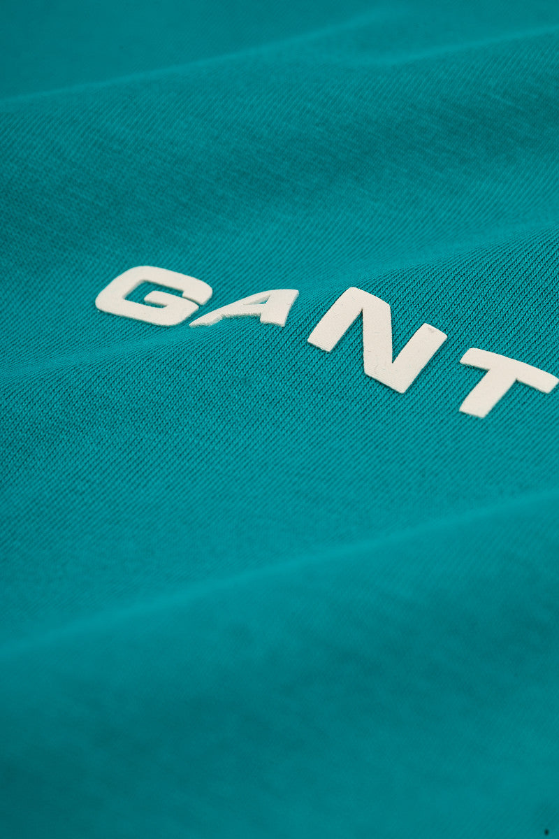 Small Graphic Short Sleeve Tshirt