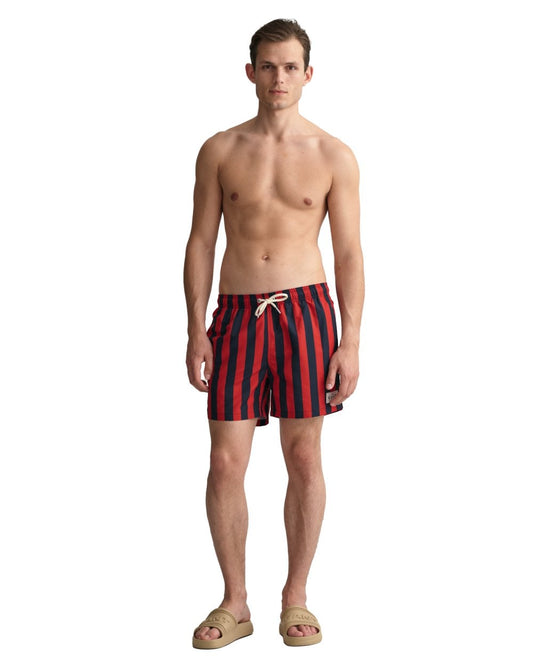 Classic Fit Block Stripe Swim Shorts