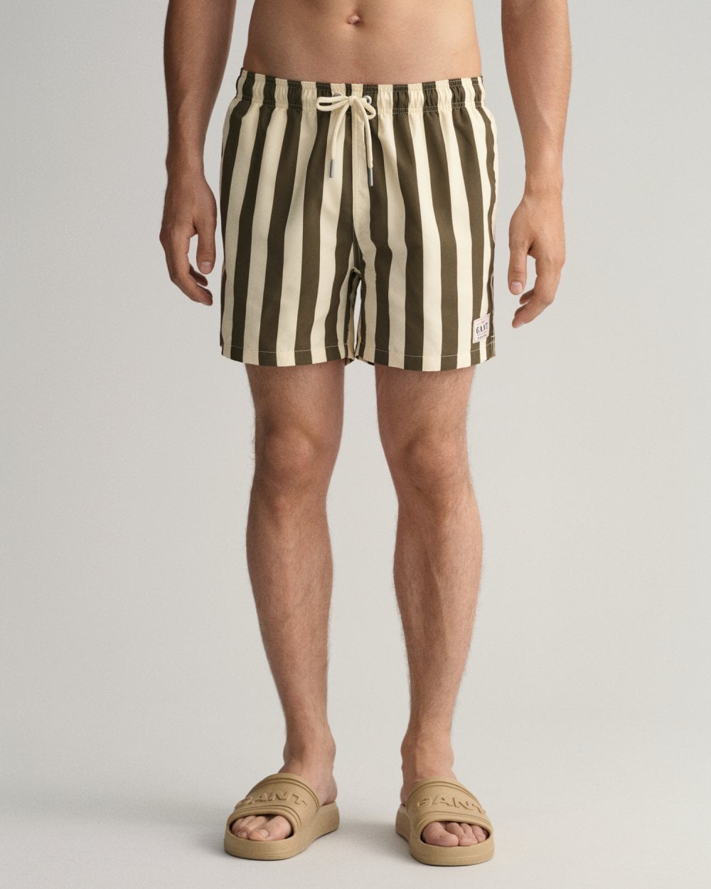 Classic Fit Block Stripe Swim Shorts